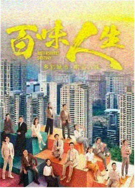 窝窝影院剧集连播《雾港十二年》海报